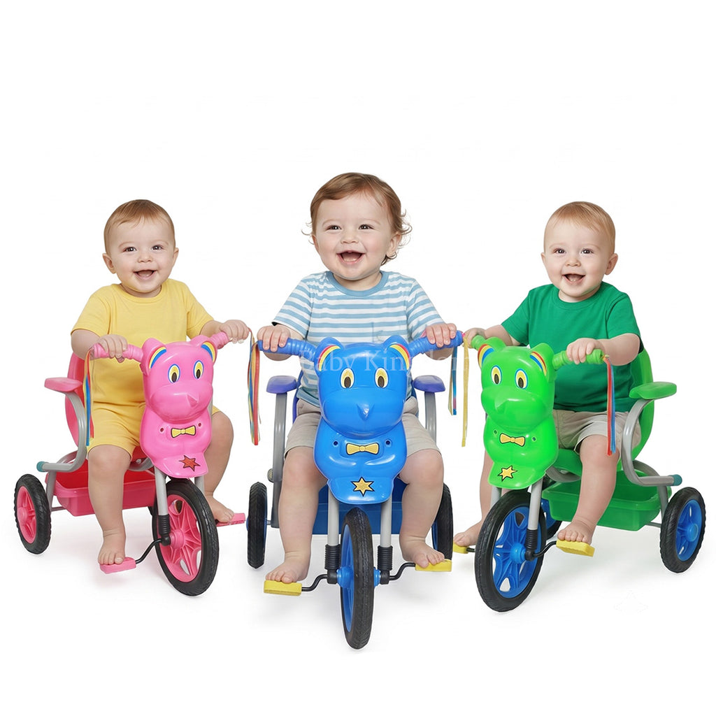 Little Panda Tricycle