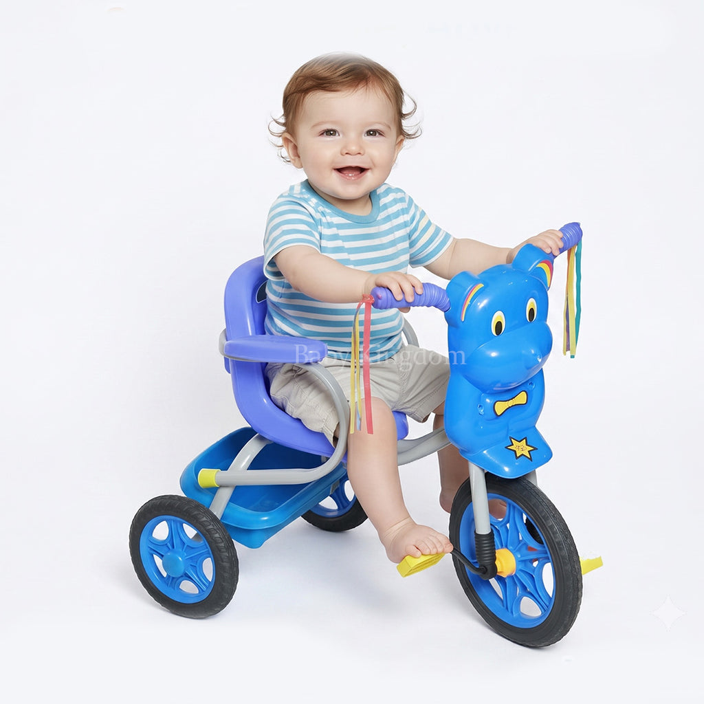 Little Panda Tricycle