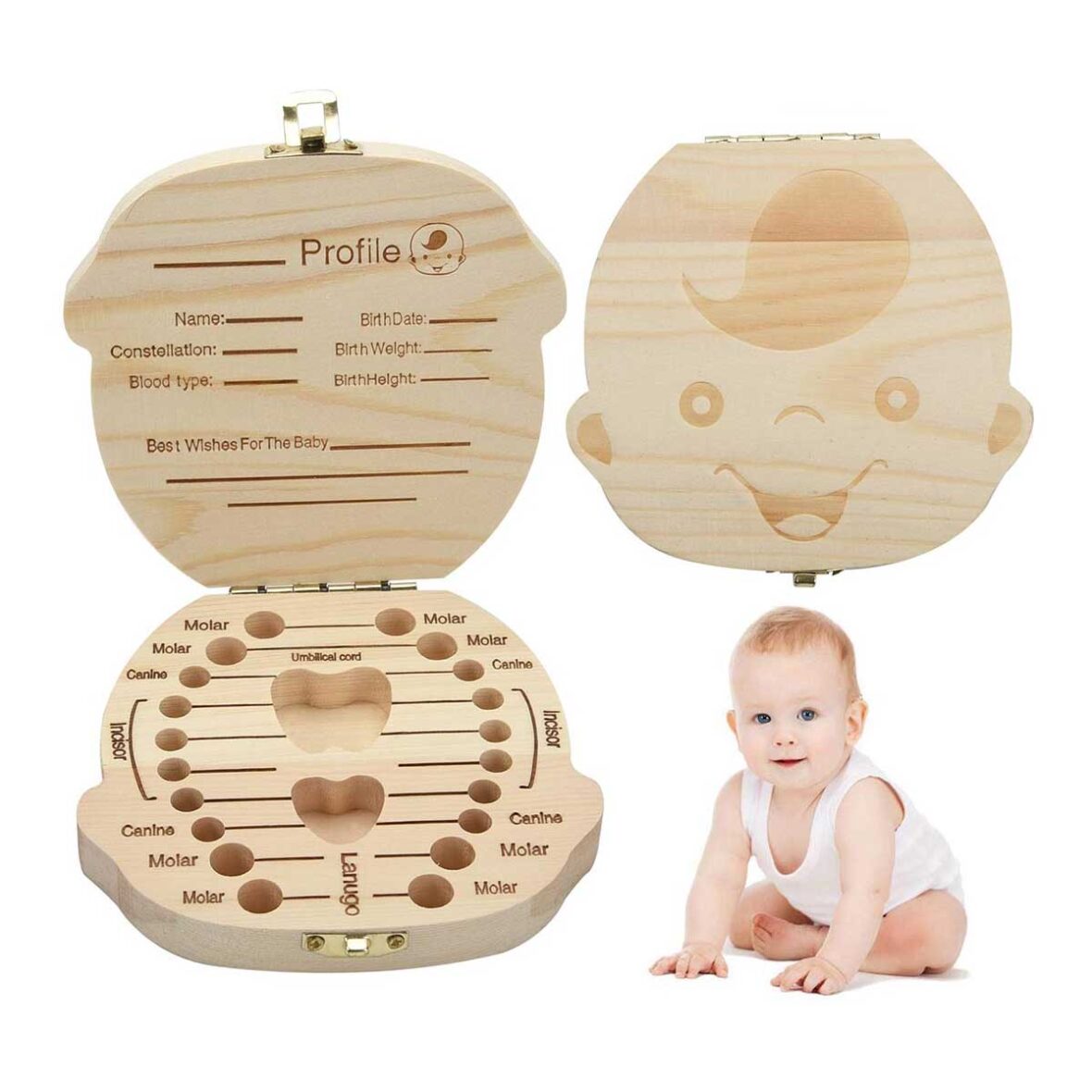 Baby Tooth Box